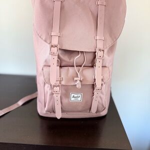 Hershel Soft Pink Backpack with Adjustable Straps and Streamlined Design